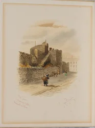 Tour rose, Newcastle upon Tyne